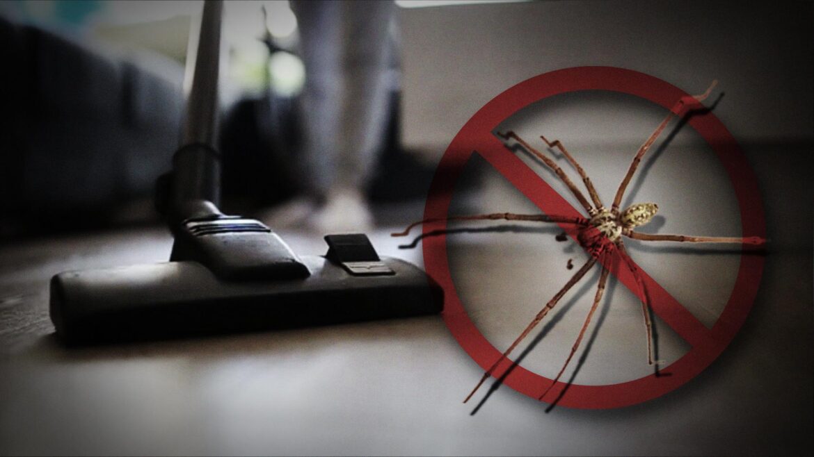 vacuum-cleaner-spider-10