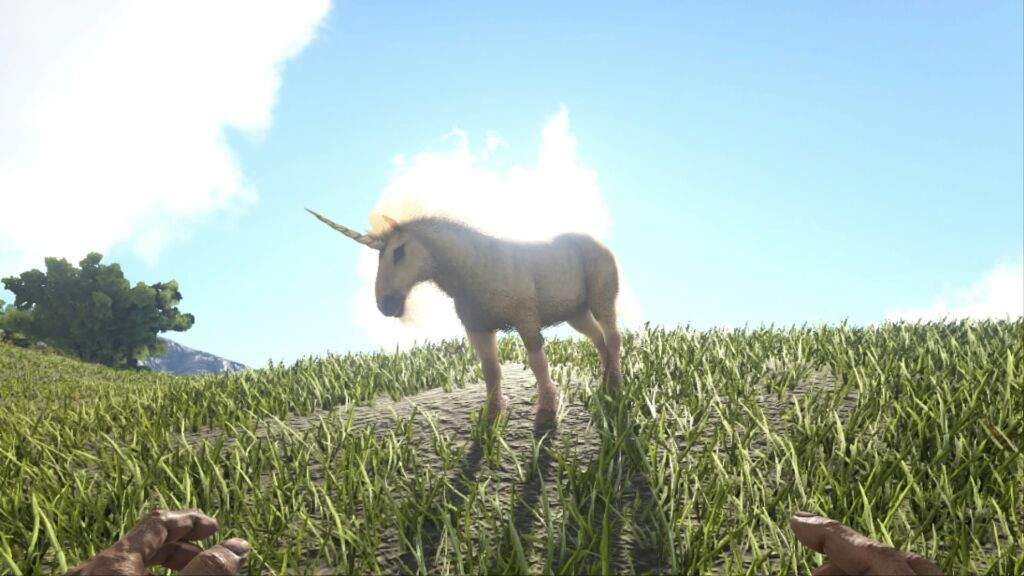 Ark Unicorn Taming Ark Survival Evolved Practical Tips