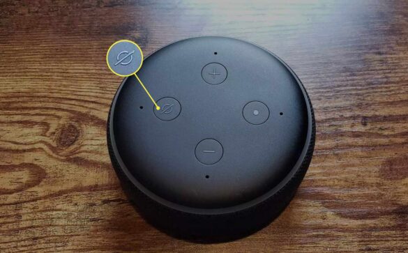 Resettare l'Echo Dot: istruzioni passo passo - Practical Tips
