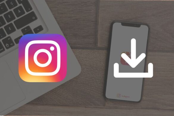 FEED DEFINITION MEANING visual data 8
